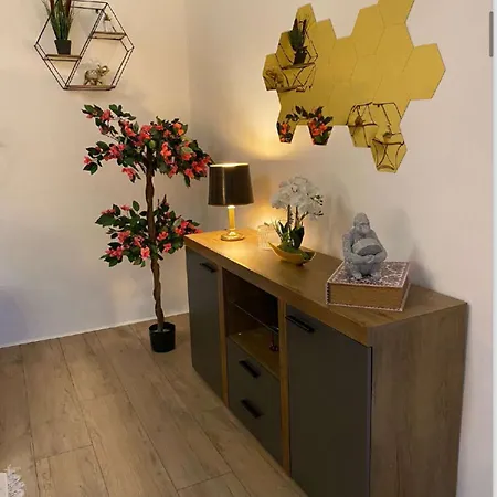 Donaublick * لينتز