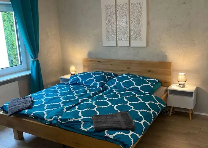 Donaublick Daire Linz