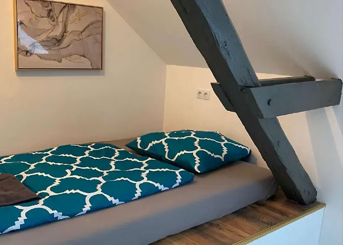 Donaublick Daire Linz